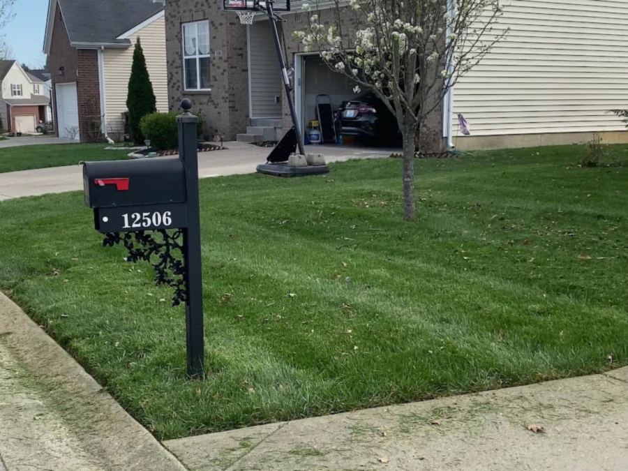A tidy suburban front lawn mown and edged in front of a two-storey house, with a black mailbox numbered 12506 at the kerb and a flowering pear tree in the grass.