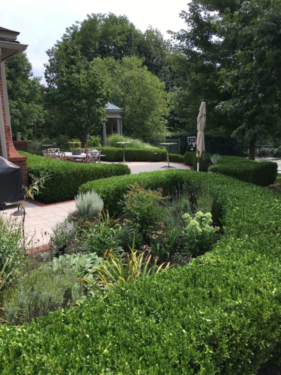 A formal garden with low clipped boxwood hedges enclosing mixed perennial beds, a stone-flagged patio with a table and umbrella, and a domed gazebo among mature trees behind.